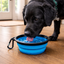 2-in-1 Portable Pet Travel Bowl