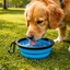 2-in-1 Portable Pet Travel Bowl