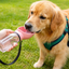 Leak-Proof Portable Dog Water Bottle