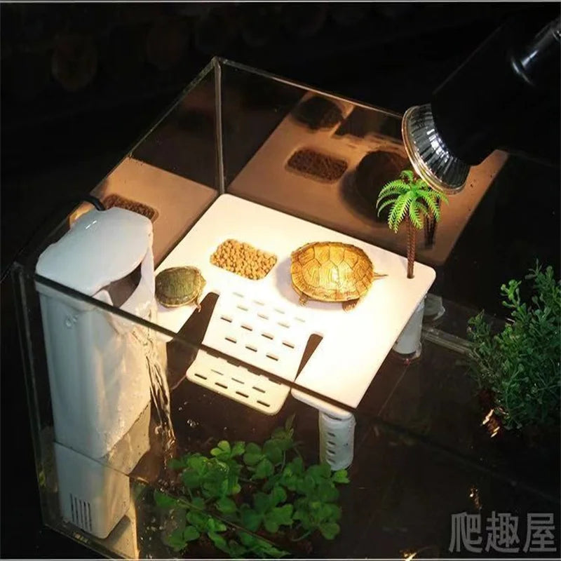 https://ae01.alicdn.com/kf/He8a2c21bd7814e12853f5c028ab9a2c74.jpg