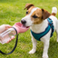 Leak-Proof Portable Dog Water Bottle